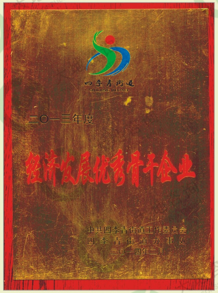 2013年度經(jīng)濟發(fā)展優(yōu)秀骨干企業(yè)
